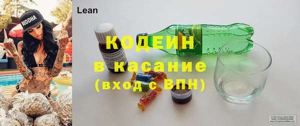 мяу мяу мука Аркадак
