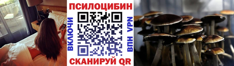 Галлюциногенные грибы Psilocybe  Фрязино 