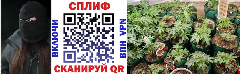 мориарти как зайти Фрязино МАРИХУАНА Bruce Banner